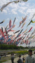 20080426121324.gif