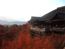 清水の舞台