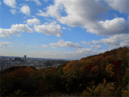 お墓参り