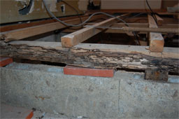 軽量鉄鋼の家をリフォーム　浴室を解体したら土台が白アリの被害